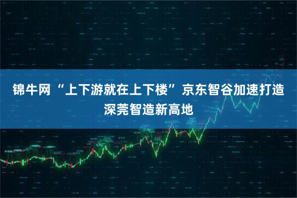 锦牛网 “上下游就在上下楼” 京东智谷加速打造深莞智造新高地