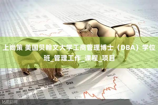 上尚策 美国贝翰文大学工商管理博士（DBA）学位班_管理工作_课程_项目