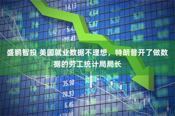 盛鹏智投 美国就业数据不理想，特朗普开了做数据的劳工统计局局长
