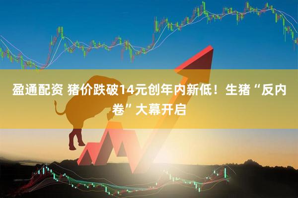 盈通配资 猪价跌破14元创年内新低！生猪“反内卷”大幕开启