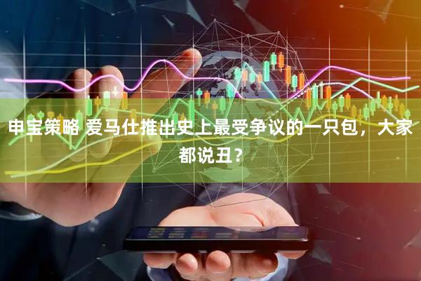 申宝策略 爱马仕推出史上最受争议的一只包，大家都说丑？