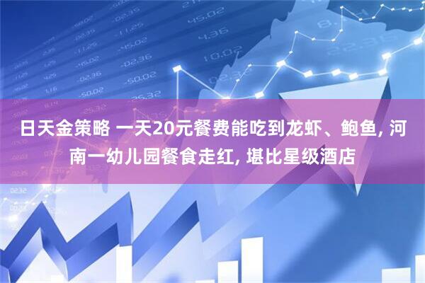 日天金策略 一天20元餐费能吃到龙虾、鲍鱼, 河南一幼儿园餐食走红, 堪比星级酒店