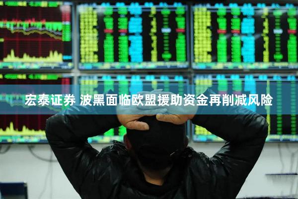 宏泰证券 波黑面临欧盟援助资金再削减风险