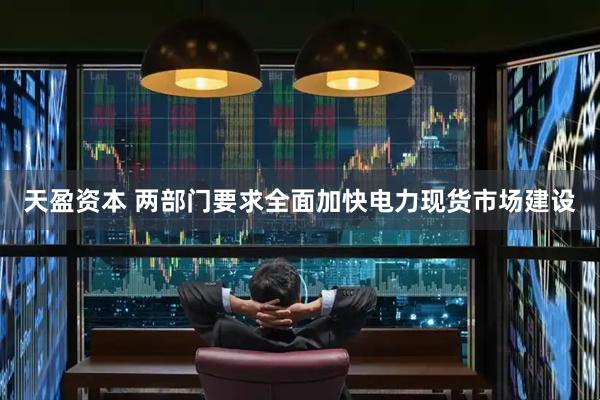 天盈资本 两部门要求全面加快电力现货市场建设